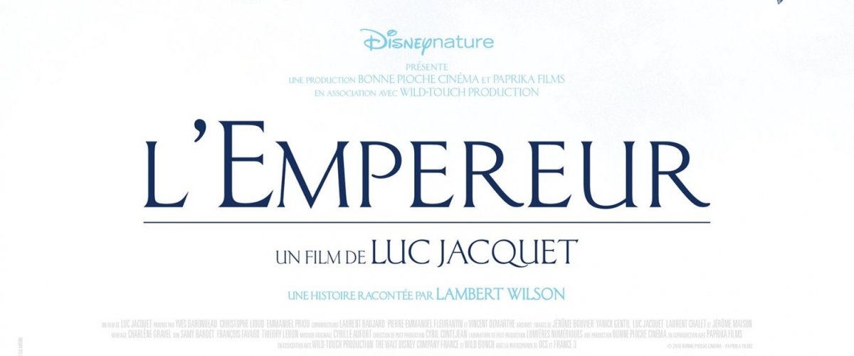 "L'Empereur", un film de Luc Jacquet