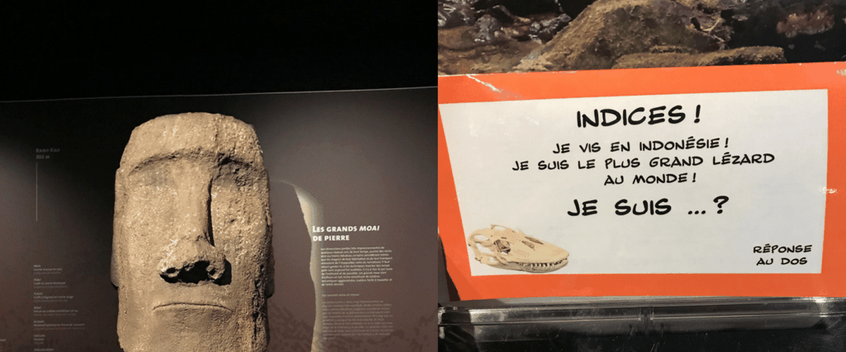 Museum de Toulouse : partez en polynésie