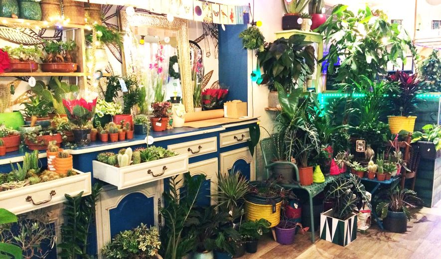 Lifestyle le meilleur de Toulouse pour consommer local, éthique