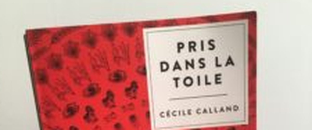 Le premier roman de Cécile Calland "Pris dans la Toile" : un polar qui met les nerfs à rude épreuve