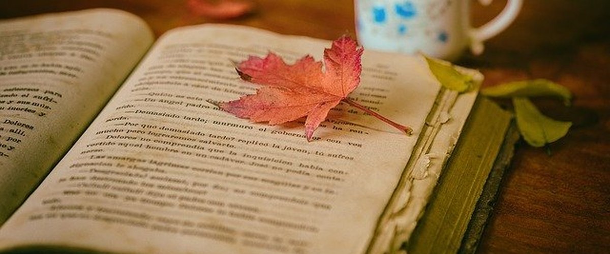 leaves, books, color