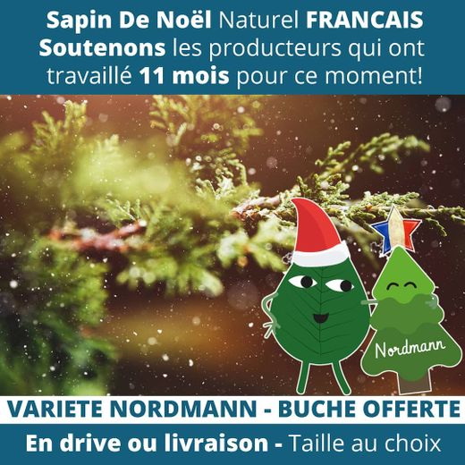 Sapin de Noël à Toulouse : local, bio, réutilisable... la sélection qui tombe à pic !