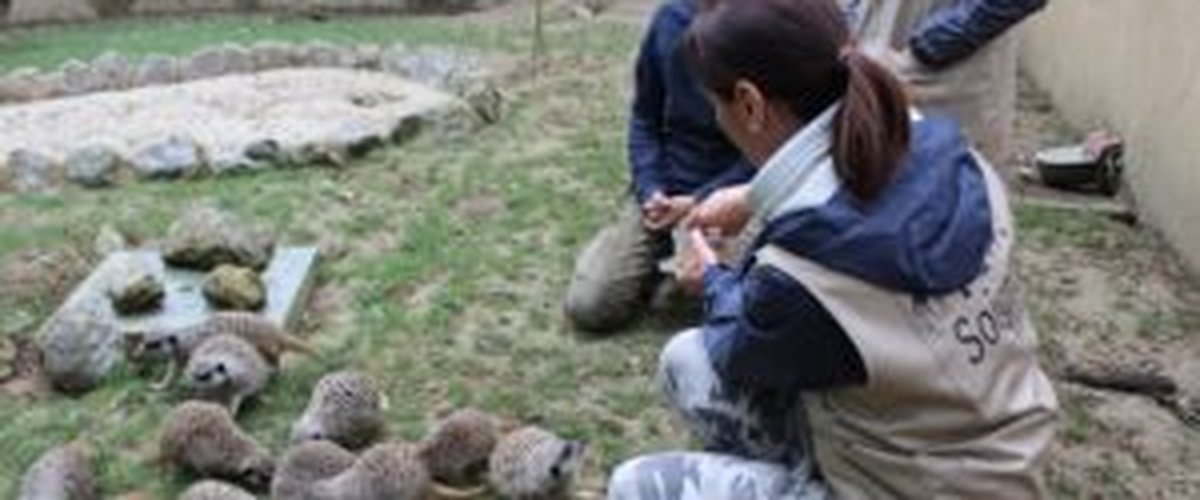 Zoo African Safari : découvrez le quotidien des soigneurs animaliers !