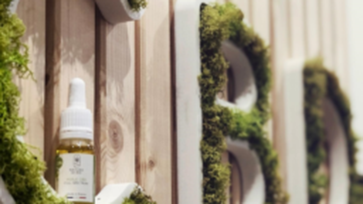 Les boutiques de CBD Toulouse fleurissent : huiles, dcontractants, infusions... A chacun sa dtente ! - toulouscope.fr Les boutiques de CBD Toulouse fleurissent : huiles, dcontractants, infusions... A chacun sa dtente ! - toulouscope.fr
