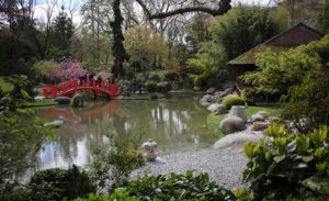 jardin japonais - parcs et jardins à Toulouse