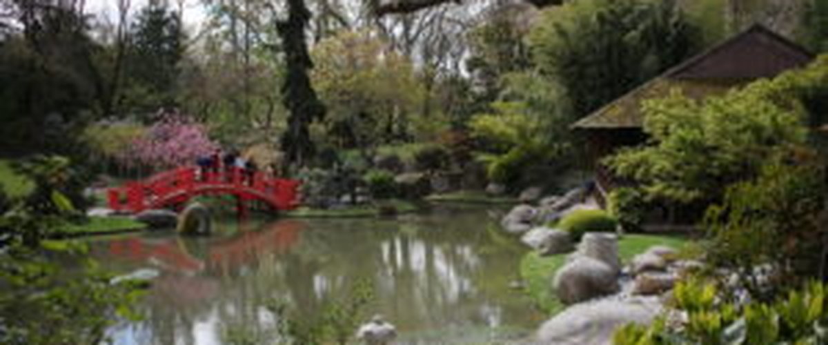 jardin japonais - parcs et jardins à Toulouse