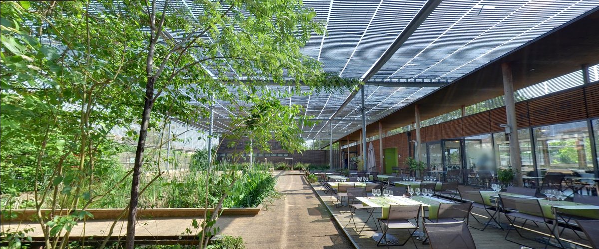 Restaurants avec jardin à Toulouse : les bonnes adresses pour prolonger l'été !
