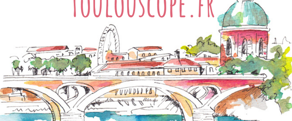 ARTICLE - L'enquête Toulouscope.fr
