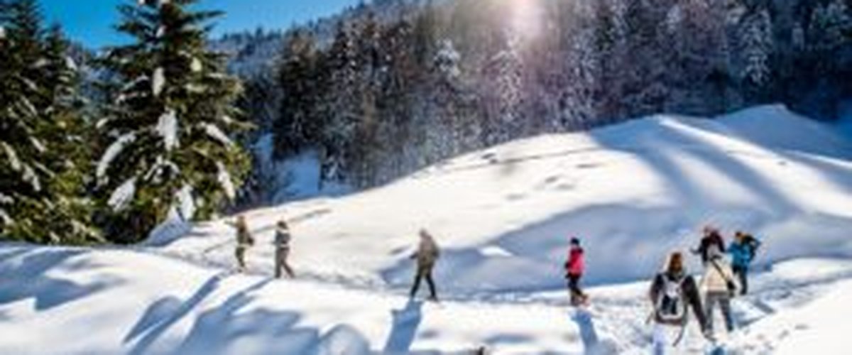 Top 10 des activités classiques ou insolites pour profiter de la neige cet hiver !