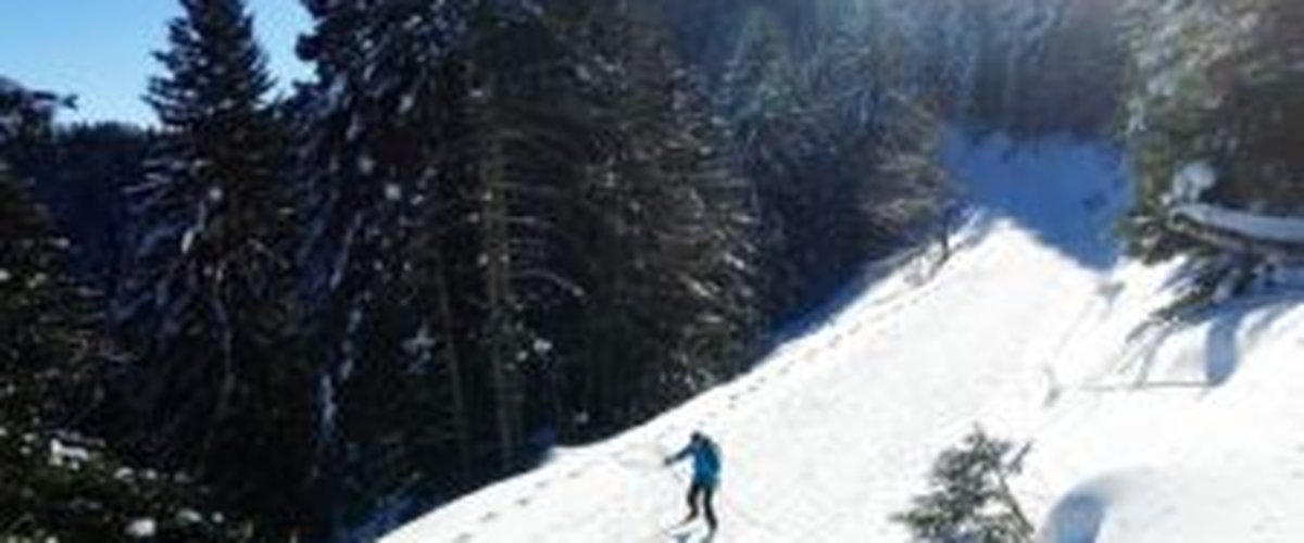 Top 10 des activités classiques ou insolites pour profiter de la neige cet hiver !
