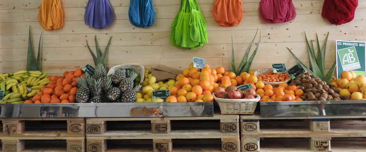 Fruits et légumes, vrac, plantes potagères... la nouvelle enseigne Les Producteurs bio pousse à Toulouse !