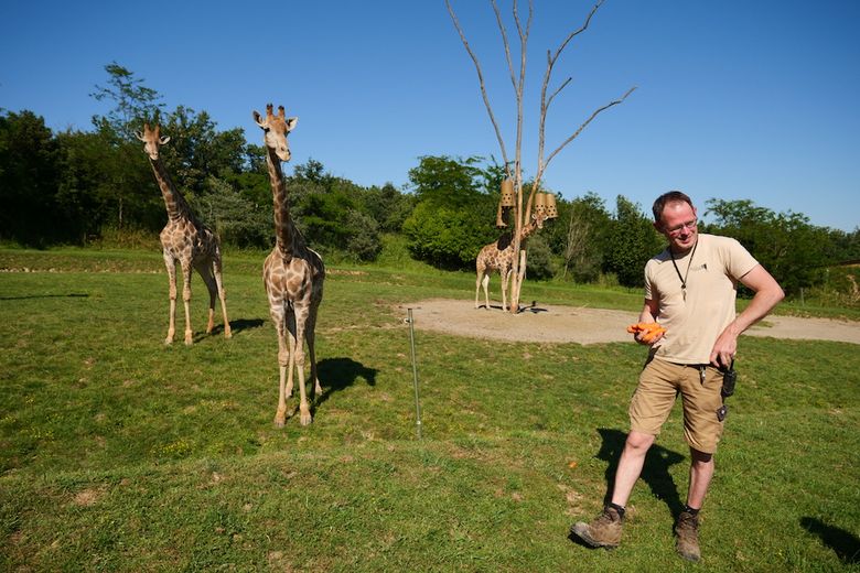 Zoos, parcs animaliers : nos sept idées de sorties à Toulouse et