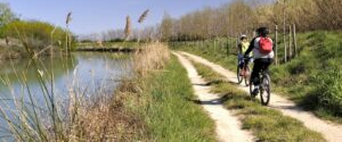À 2h de Toulouse, le territoire du Canal du Midi au Saint-Chinian offre aux toulousains une richesse naturelle, œnologique et gastronomique.