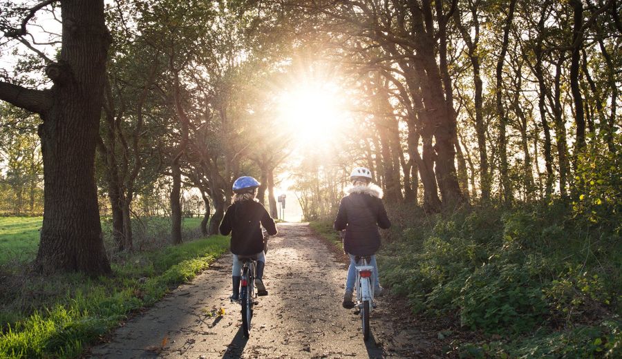 Vélo en forêt