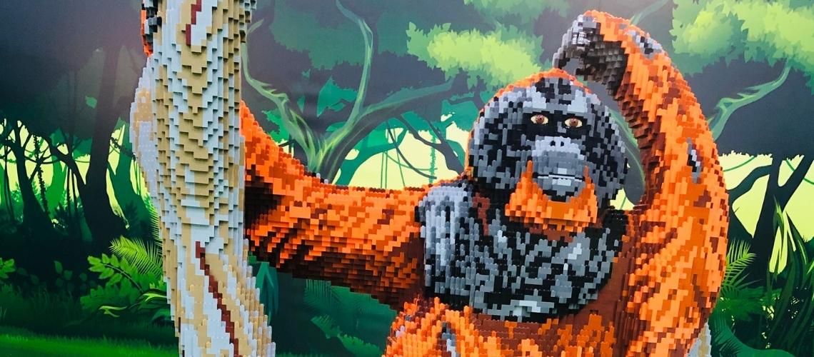 Exposition safari à Bricklive