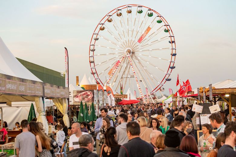 La grande roue est en accès gratuit durant la durée de la Foire Internationale de Toulouse.