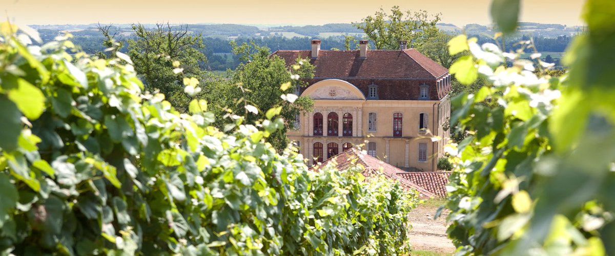 Le Château Montus et ses vignes