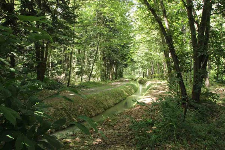 L'arboretum de Cardeilhac