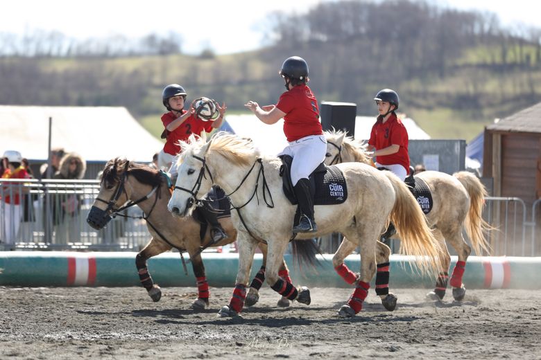 Des activités pour toute la famille