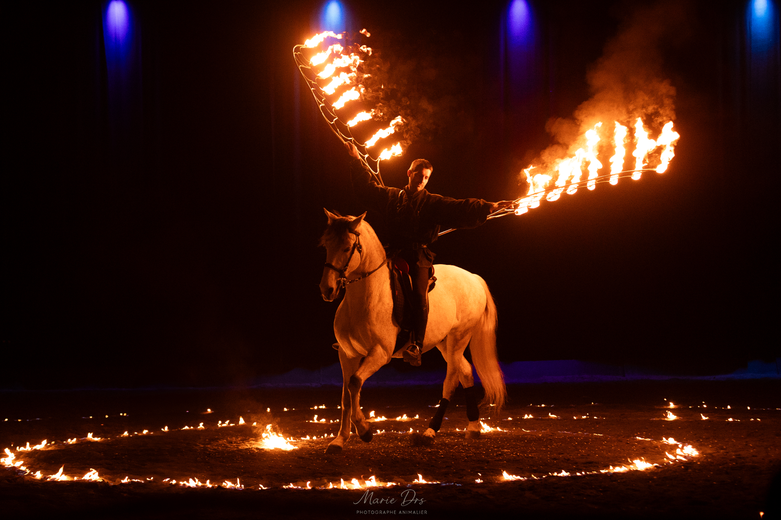 Adrénaline 2025 / Quatre représentations sont prévues pendant les 3 jours de salon.