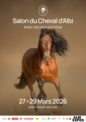 À Albi, le Salon du Cheval revient pour trois jours d'animations et de spectacles